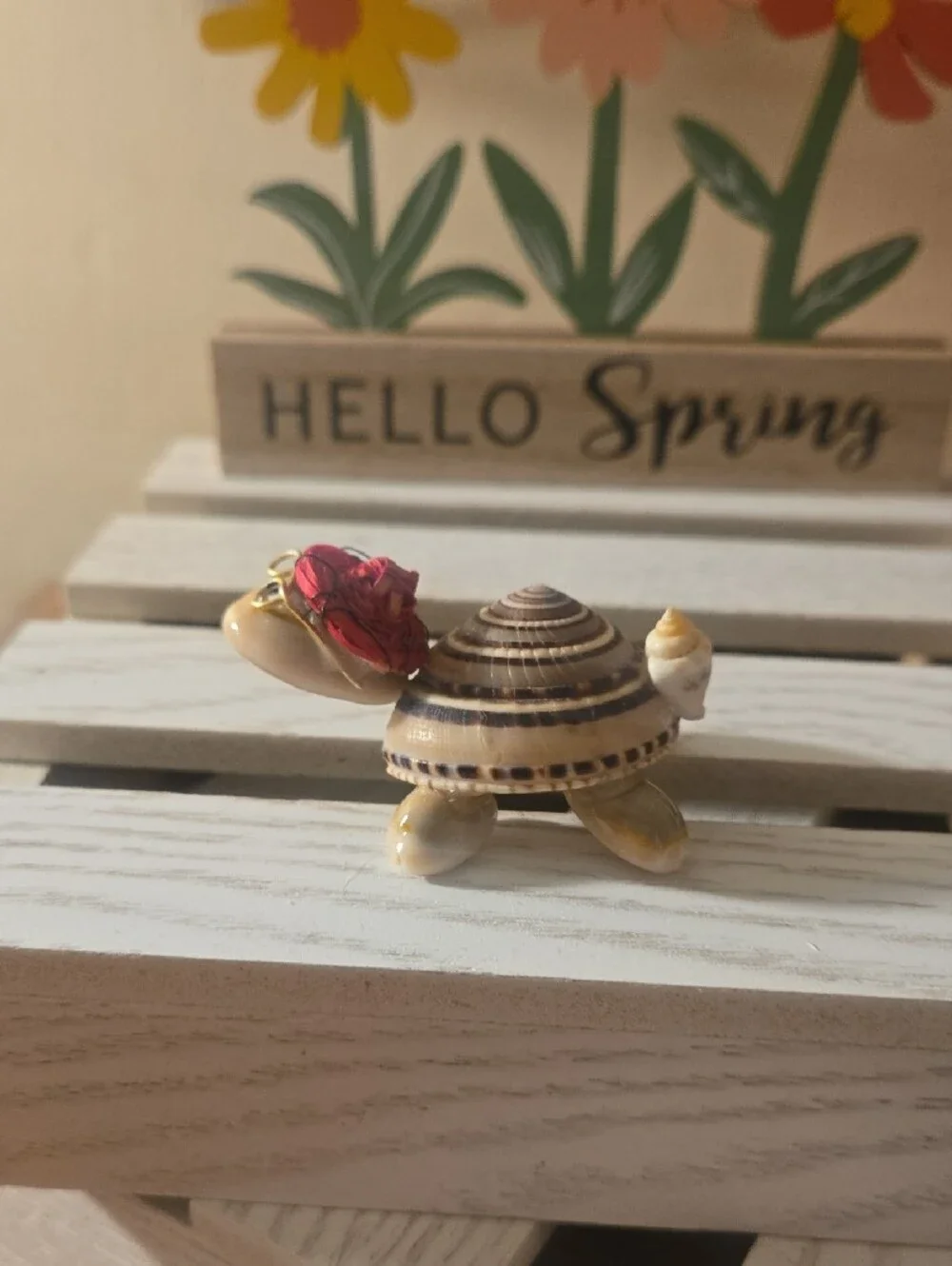 Decorative Small Pet Shell Turtle Figurine w- Glasses!
